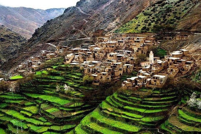 Day trip Ourika waterfall & Berber Villages - Who Will Love This Tour?