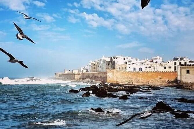 Day trip out from Marrakech to essaouira city - The Sum Up