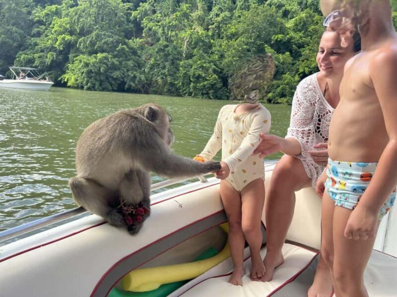 DAY TRIP: Private Speedboat Excursion in Mauritius - Why This Tour Is Worth Considering