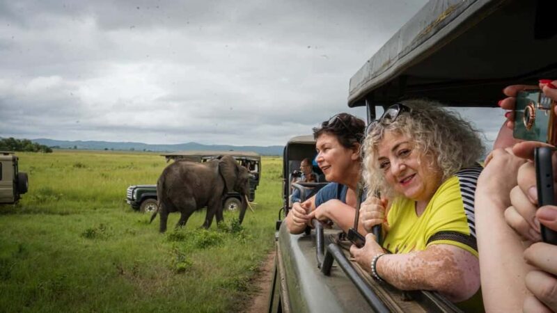 Day Trip Safari to Mikumi National. - How the Tour Starts and Endings