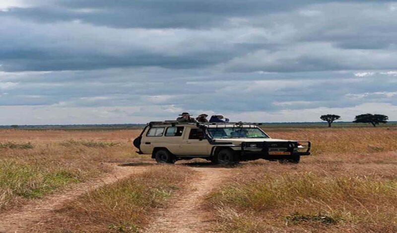 Day Trip Safari to Mikumi National. - Transport and Comfort