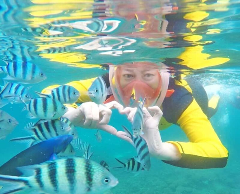 Day trip snorkeling Koh Tao & Koh Nang Yuan - Key Points