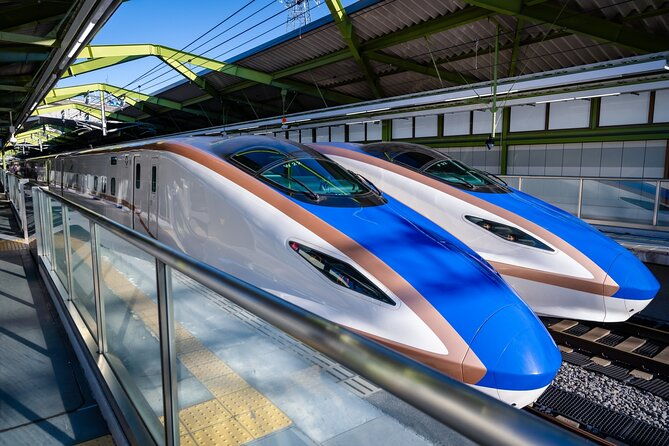 day-trip-snow-monkey-in-nagano-from-tokyo-by-bullet-train