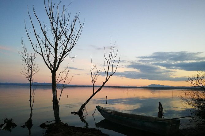 day-trip-speedboat-tour-of-lake-trasimeno-with-lunch-assisi-private-tour