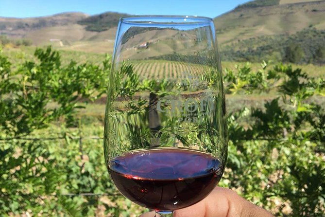 day-trip-through-the-enchanting-douro-valley-ducksideofporto