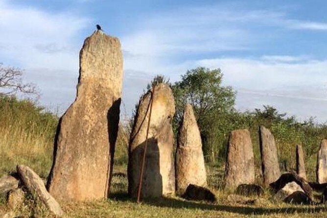 Day trip to Adadi Mariyam, Tiya and Melka kunture - Who Should Consider This Tour?