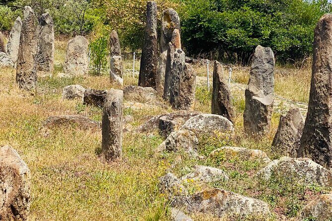Day Trip to Adadi Rock and Tiya Archeological Excursion - The Itinerary in Detail: What to Expect
