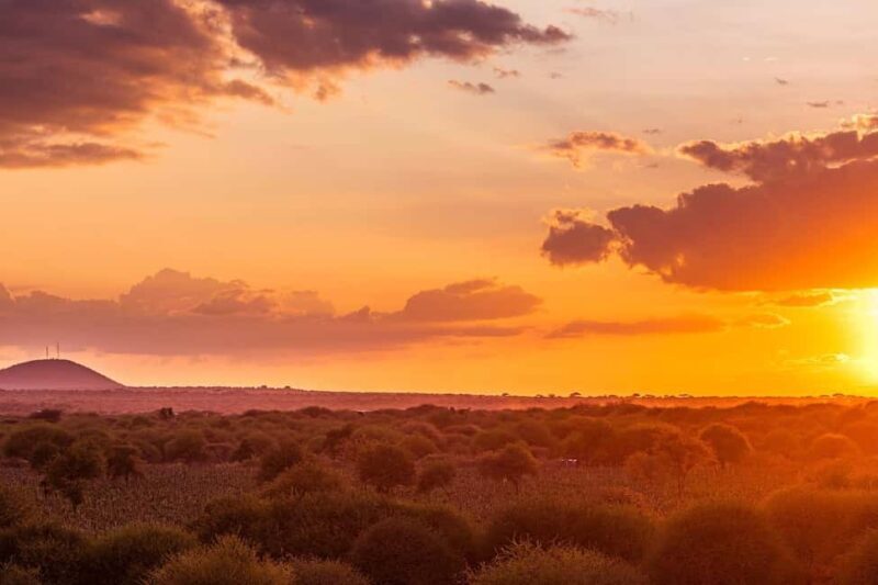 Day Trip to Amboseli National Park From Nairobi ( Private) - Who Should Consider This Tour?