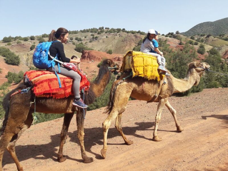 Day Trip To Atlas Mountain and Berber Village From Marrakech - Return Journey