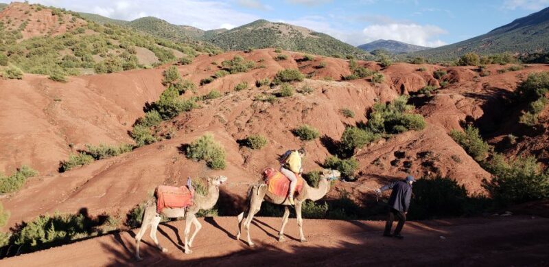 Day Trip To Atlas Mountain and Berber Village From Marrakech - Practical Details and Considerations