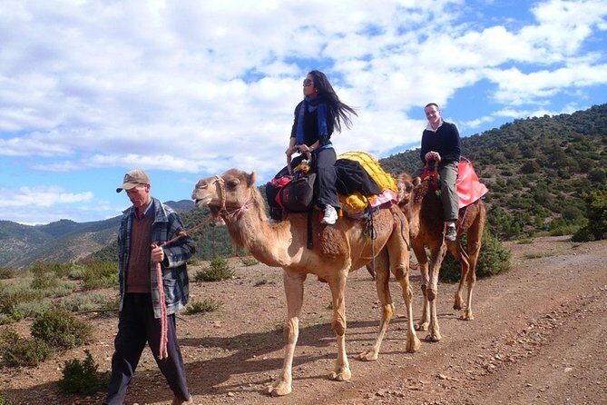 Day Trip to Atlas Mountains & 3 Valleys from Marrakech With Lunch and Camel Ride - The Value of the Experience