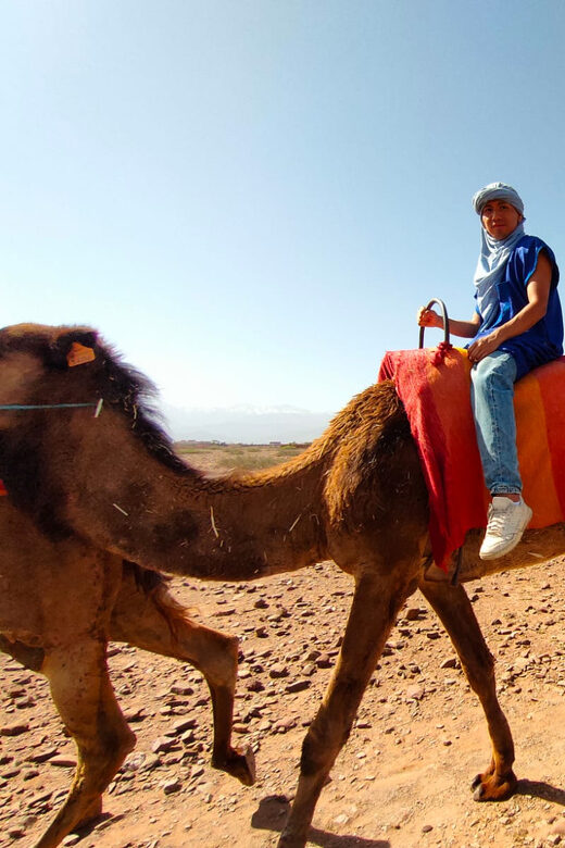 Day Trip to Atlas Mountains, Camel Ride, And Berber Villages - Detailed Review of the Tour Experience