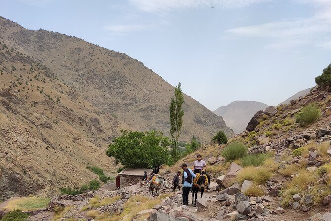 day trip to atlas mountains ourika valley & waterfall - Exploring the Atlas Mountains: Ourika Valley & Waterfall Day Trip Review