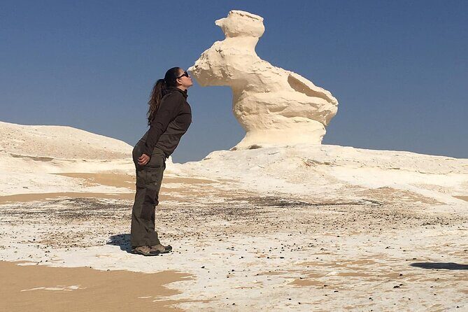 Day Trip To BaharIya Oasis Visit Black & White Desert From Cairo - Who Should Consider This Tour?