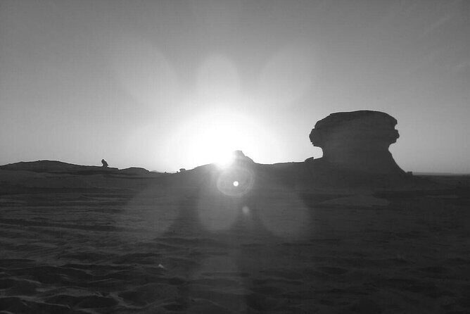 Day Trip To BaharIya Oasis Visit Black & White Desert From Cairo - FAQ