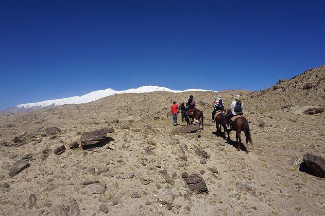Day Trip to Baisha Lake and Karakul Lake with Private Car - Price and Value: Is It Worth It?