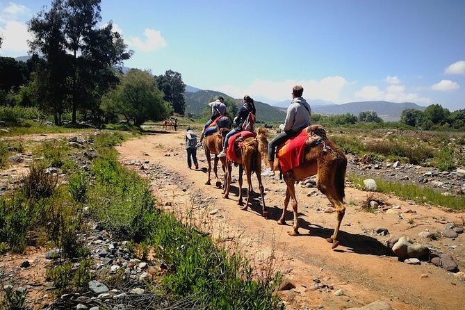 Day trip to Berber valley and Atlas mountains - Key Points