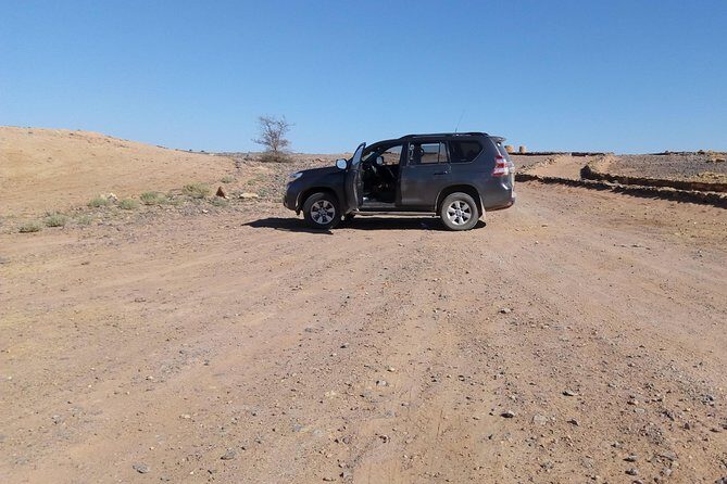 Day trip to Berber valley and Atlas mountains - Delivery, Value, and Practical Tips