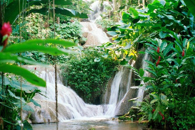 day-trip-to-bob-marleys-nine-mile-and-dunns-river-falls-from-falmouth