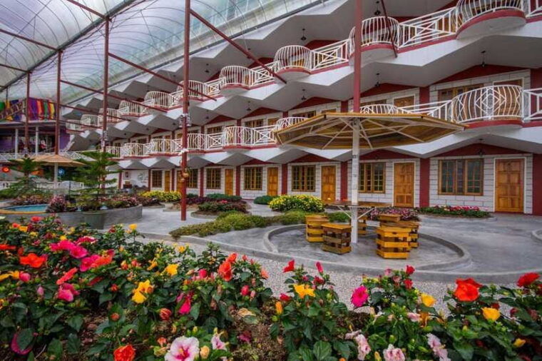 day-trip-to-cameron-highlands