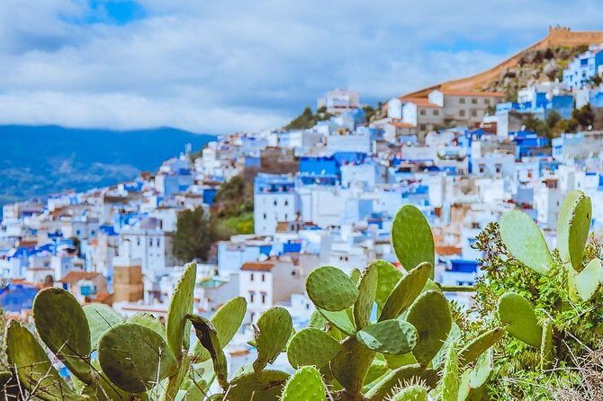 Day trip to Chefchaouen and Akchor water falls - Key Points