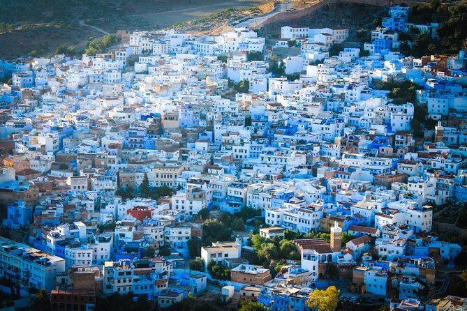 Day Trip to Chefchaouen From Fez with Local Expert - Who Is This Tour Best For?