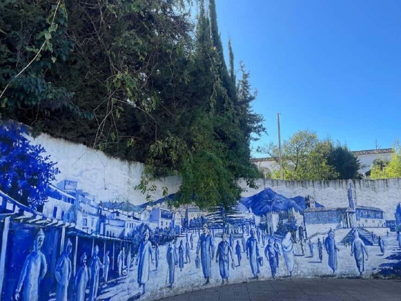 Day Trip to Chefchaouen from Tangier - Key Points