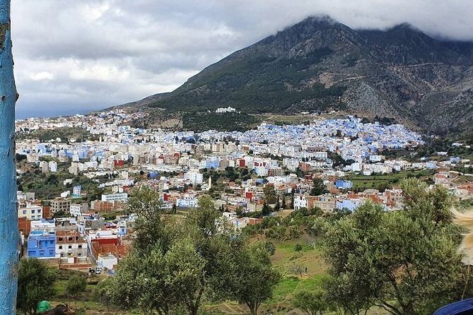 Day Trip to Chefchaouen the blue city - Transportation: Comfort and Reliability