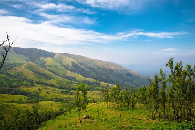 Day Trip to Chikmagalur (Guided Sightseeing Tour by Car from Mysore) - Exploring Chikmagalur: A Practical Guide to the Day Trip from Mysore