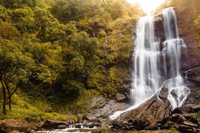 Day Trip to Chikmagalur (Guided Sightseeing Tour by Car from Mysore) - Key Points