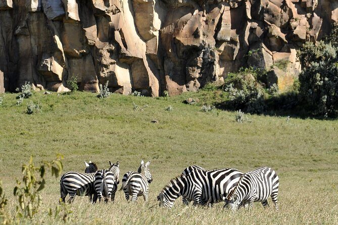 Day Trip To Crescent Island And Hells Gate National Park - Practical Considerations: Timing, Physical Effort, and Group Size