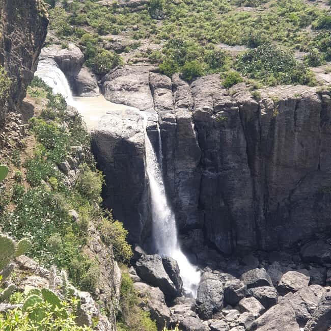 Day trip to Debre Libanose and Portuguese Bridge. - FAQs