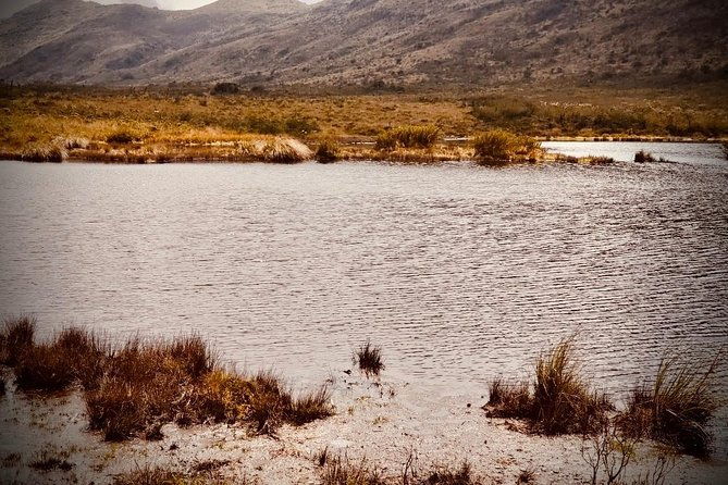 day-trip-to-el-verjon-paramo-moorland-matarredonda-park