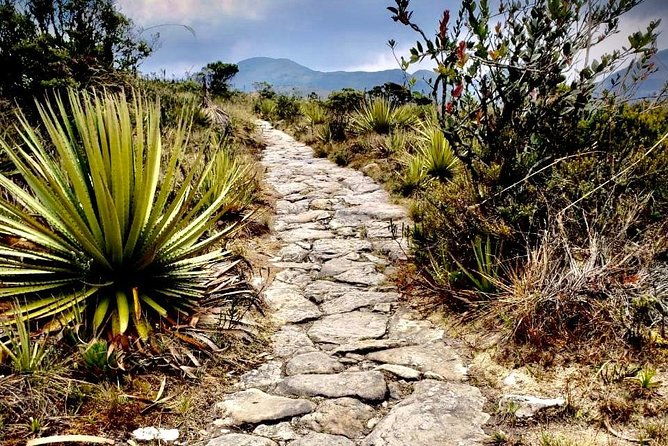 day-trip-to-el-verjon-paramo-moorland-matarredonda-park