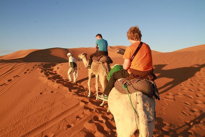 Day Trip to Erg Chigaga Dunes from Zagora - An In-Depth Look at the Erg Chigaga Day Trip  