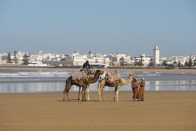 Day Trip To Essaouira - The Journey Begins: Marrakech to Essaouira