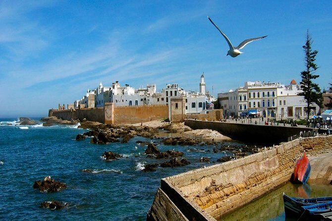 Day Trip To Essaouira - Authentic Experiences That Shine