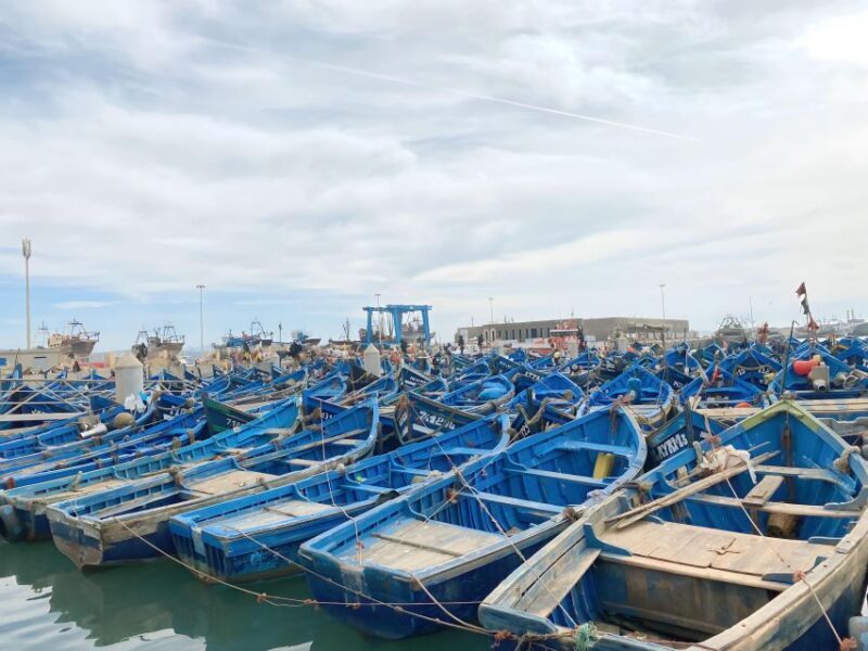 Day trip to Essaouira - Practical Tips for Your Day Trip