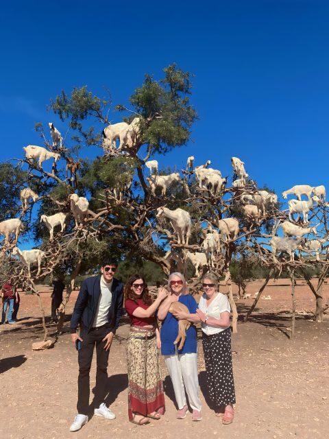 Day trip to Essaouira - Final Thoughts