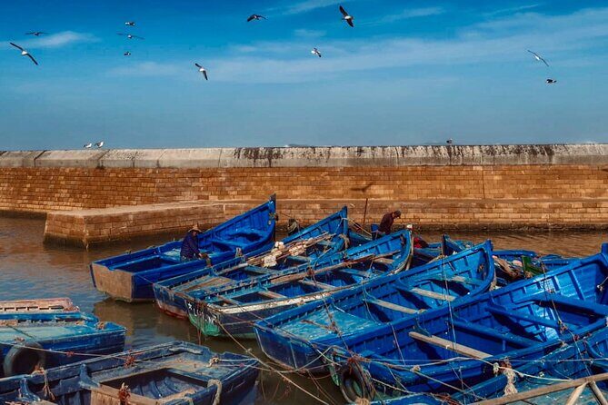 Day Trip to Essaouira - Exploring the Day Trip to Essaouira: A Practical Review