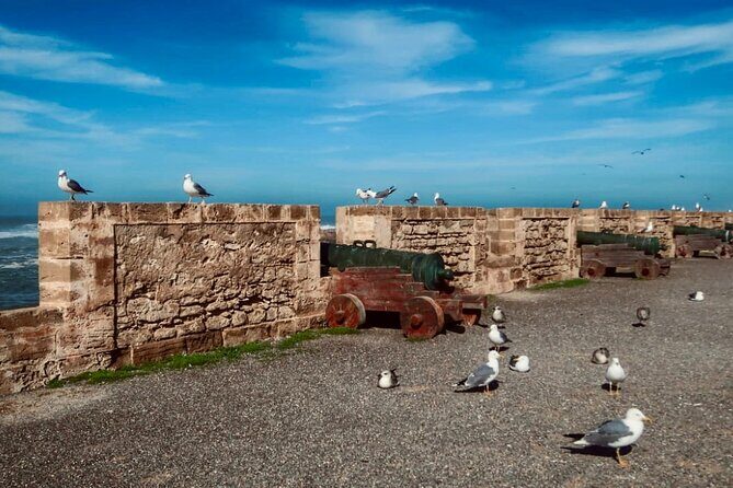 Day Trip to Essaouira - Exploring Essaouira: What to Expect