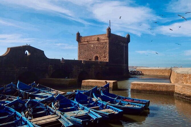Day Trip to Essaouira - Authentic Experiences and Reviewer Insights
