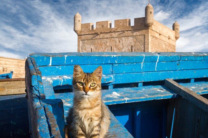 Day trip to essaouira from marrakech - An In-Depth Look at the Marrakech to Essaouira Day Trip