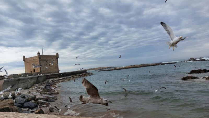 DAY TRIP TO ESSAOUIRA FROM MARRAKECH - Final Thoughts