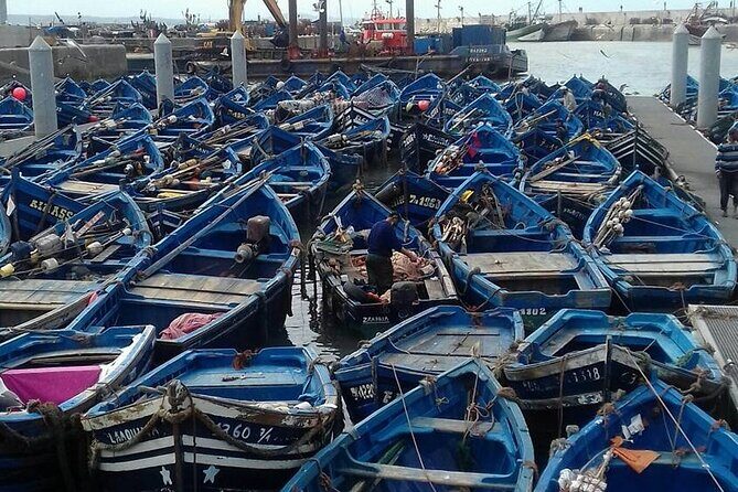 Day Trip to Essaouira From Marrakech - Overall Value and Experience
