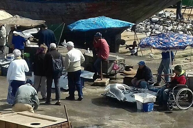 Day Trip to Essaouira From Marrakech - Final Thoughts