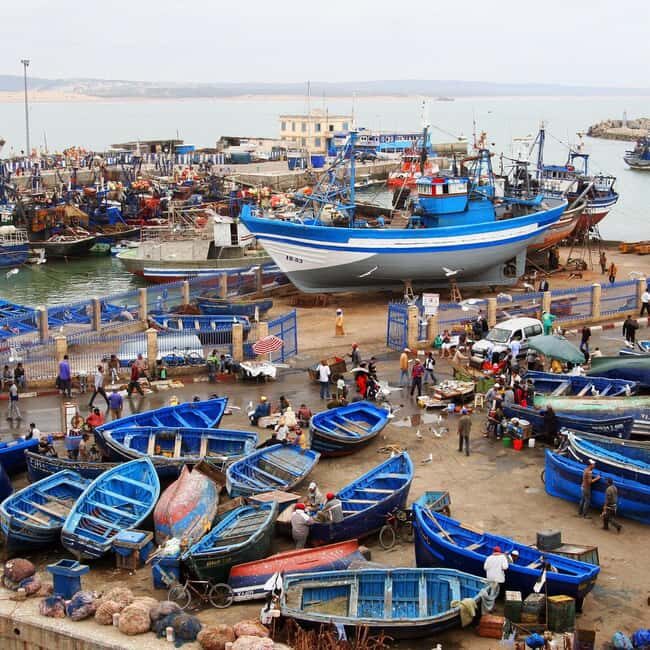 Day Trip To Essaouira From Marrakech With Guide - Introduction: Why This Day Trip is Worth It