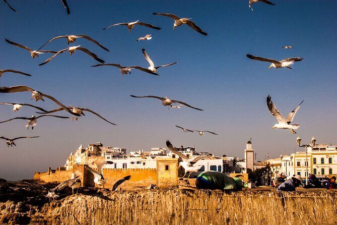 Day Trip To Essaouira From Marrakech with /small group - An In-Depth Look at the Day Trip Experience