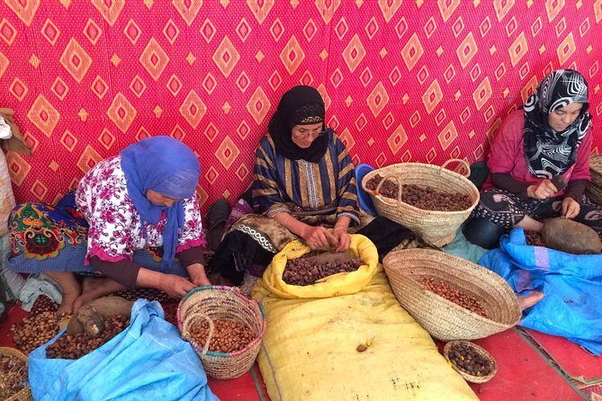 Day Trip To Essaouira MoGador and Argan Tress forests - Who Should Consider This Tour?