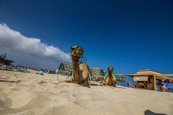 day-trip-to-fuerteventura-from-lanzarote